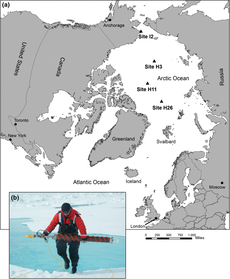 Read more about the article Microplastics retained in Artic Ocean ice released by Global Warming