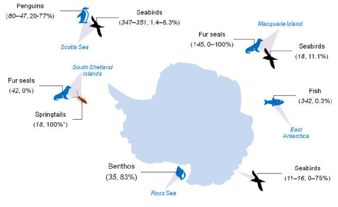 Read more about the article Plastics in Antarctica? What we know
