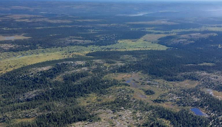 Read more about the article Diversidade de lagos e lagoas na transição entre tundra e floresta boreal: da limnicidade à limnodiversidade