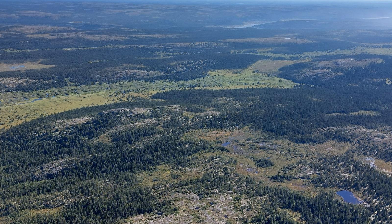 Read more about the article Diversidade de lagos e lagoas na transição entre tundra e floresta boreal: da limnicidade à limnodiversidade