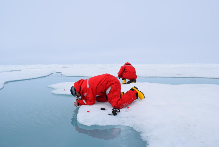 Read more about the article A sequenciação completa do gene 16S rRNA combinada com uma seleção adequada da base de dados melhora a descrição das comunidades procarióticas marinhas do Ártico
